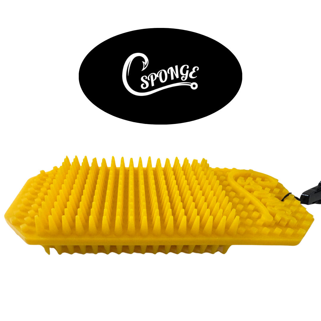 C Sponge